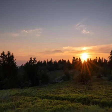 فيلة Magnificent In Near Area