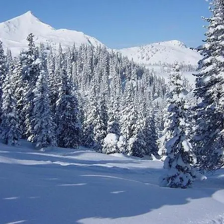 Villa Spacious Near Center *