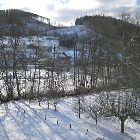 Spacious Near Center Villa *