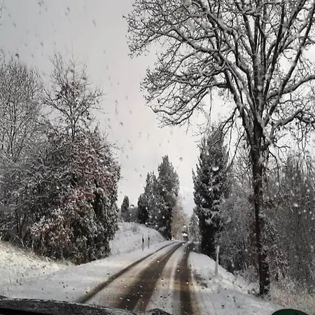 Villa Spacious Near Center Medebach