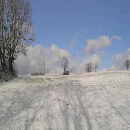 Villa Spacious Near Center *