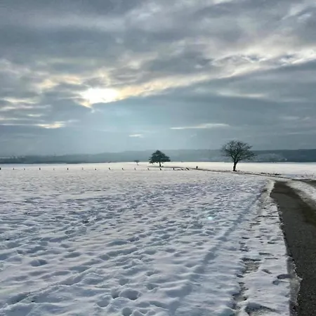 Spacious Near Center Medebach