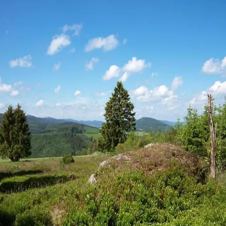 Spacious Near Center Medebach