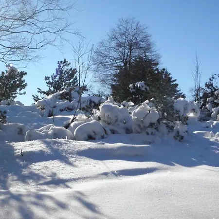 Spacious Near Center * Medebach