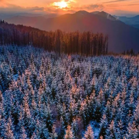 Villa Spacious Near Center