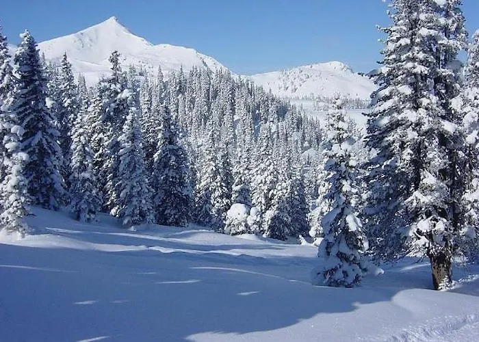 Villa Spacious Near Center *