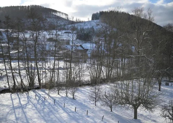 Spacious Near Center Villa *