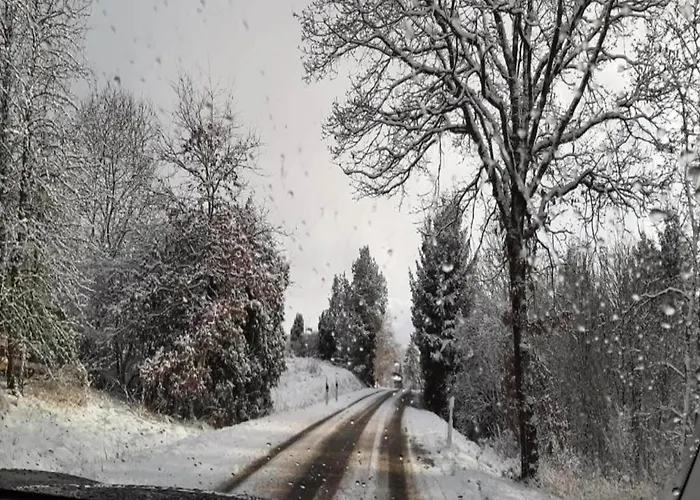 Villa Spacious Near Center Medebach