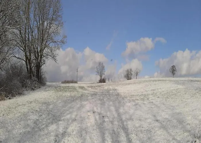 Villa Spacious Near Center *