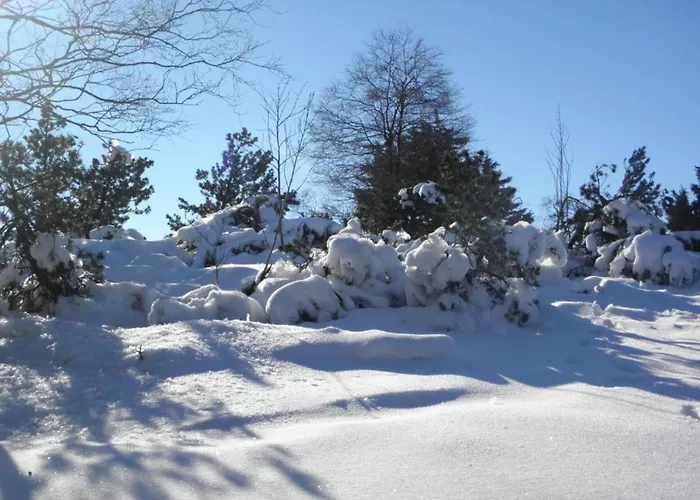 Spacious Near Center * Medebach