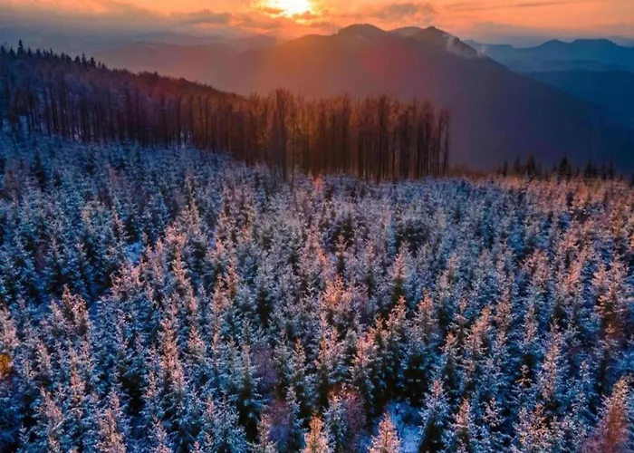 Villa Spacious Near Center